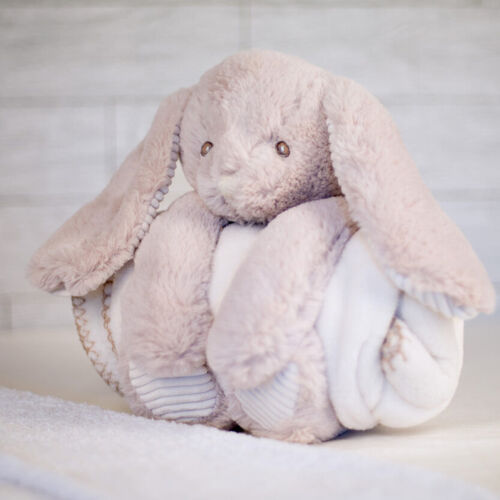 Rabbit and blanket Thumbnail